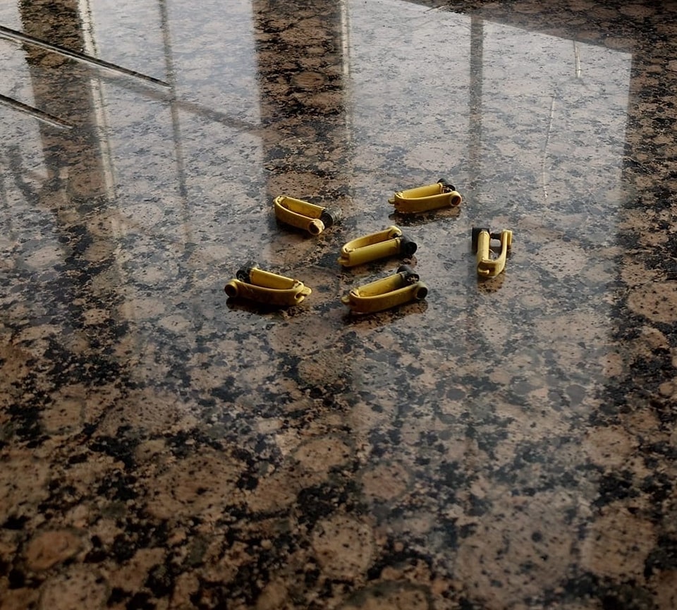 Six lambs on the South Downs near Woodingdean and Rottingdean have tragically died after being chased and harried by dogs. The animals, which were wearing electronic ear tags, had been repeatedly stressed by the dogs, and eventually died huddled together. While lambs always find