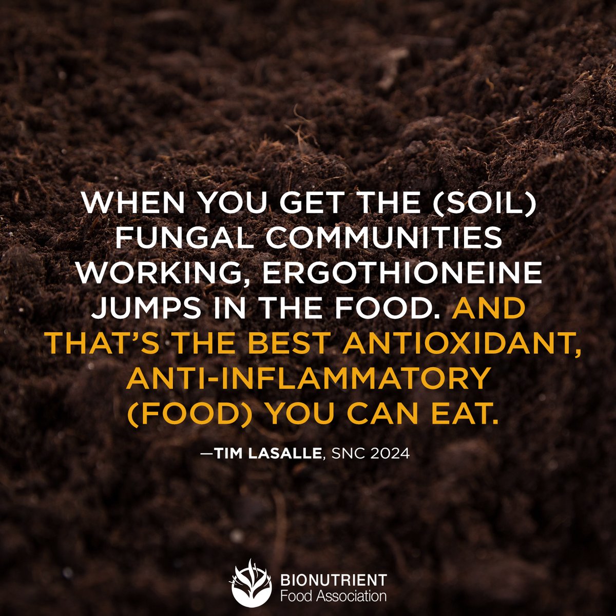 Working in harmony with nature results in highly functioning ecosystems from the soil to the humans.

Learn more at bionutrient.org and youtube.com/bionutrient