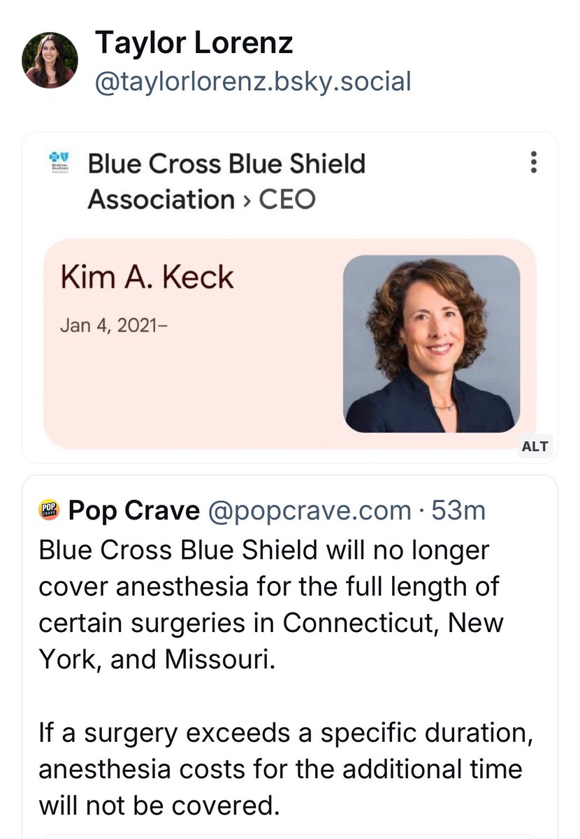 🚨🚨Taylor Lorenz publishes the name and likeness of Blue Cross and Blue Shield CEO shortly after news broke that the CEO of United Healthcare was executed.