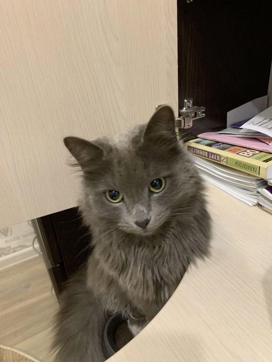 My life outside of Twitter 🖤