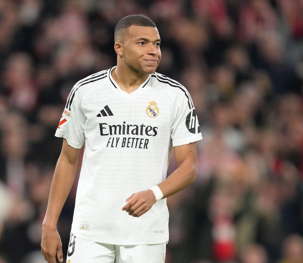 (fan) REAL MADRID FANS 🤍 tweet media