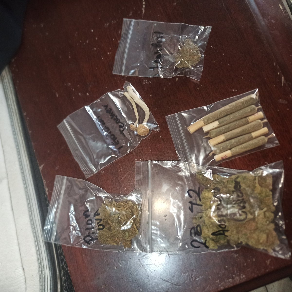 Torolokooo's tweet photo. @SkunkPilones420 Muchas gracias por la atención
100% de confianza y calidad 
Chingon ese pilón 🙏😎👽 https://t.co/pc8ZdOm2hJ