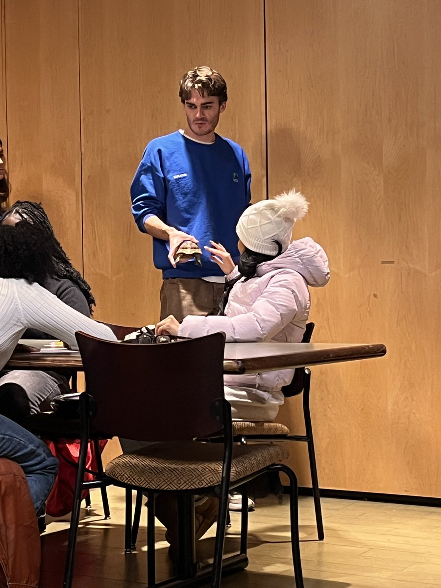 Meghan Basch Stern tweet media