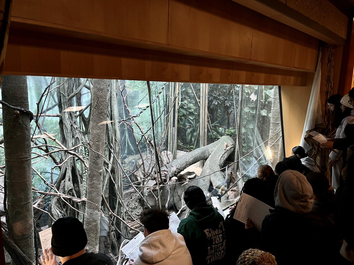 Meghan Basch Stern tweet media