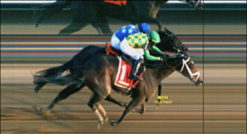 Equibase's tweet photo. On this day in racing history on December 4, 2021... Mo Donegal won the G2 Remsen Stakes at AQU by a nose over Zandon in a thrilling finish for trainer @PletcherRacing with @iradortiz aboard! 

Since 1991, only 3 horses have won both the Remsen and the @BelmontStakes #statlines 
Dornoch 
Mo Donegal
Thunder Gulch

Check out the official 2021 G2 Remsen Stakes chart:
https://t.co/QlKOd7gTrG

Photo Credit: Coglianese Photo