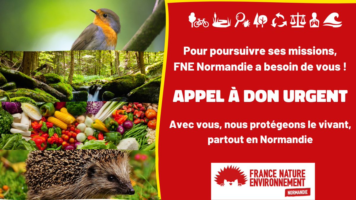 👋Voici un message de la fédération régionale normande des associations de protection de la nature et de l'environnement dont nous sommes membres ! 🦔 🌳🌍
≡ FNE NORMANDIE A BESOIN DE VOUS ! ≡ 
𝑃𝑢𝑏𝑙𝑖𝑐𝑎𝑡𝑖𝑜𝑛 𝑎̀ 𝑑𝑖𝑓𝑓𝑢𝑠𝑒𝑟 𝑎𝑢𝑡𝑎𝑛𝑡 𝑞𝑢𝑒 𝑝𝑜𝑠𝑠𝑖𝑏𝑙𝑒