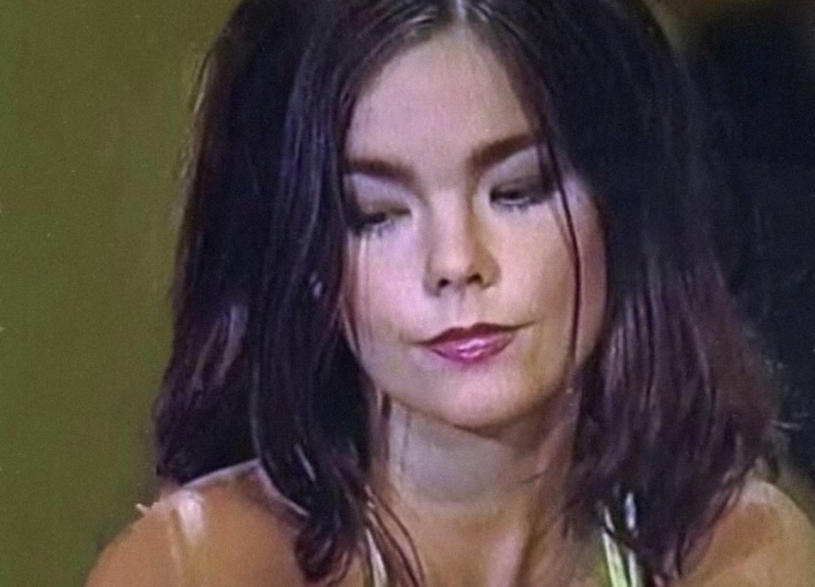 φ🕊️ tweet media