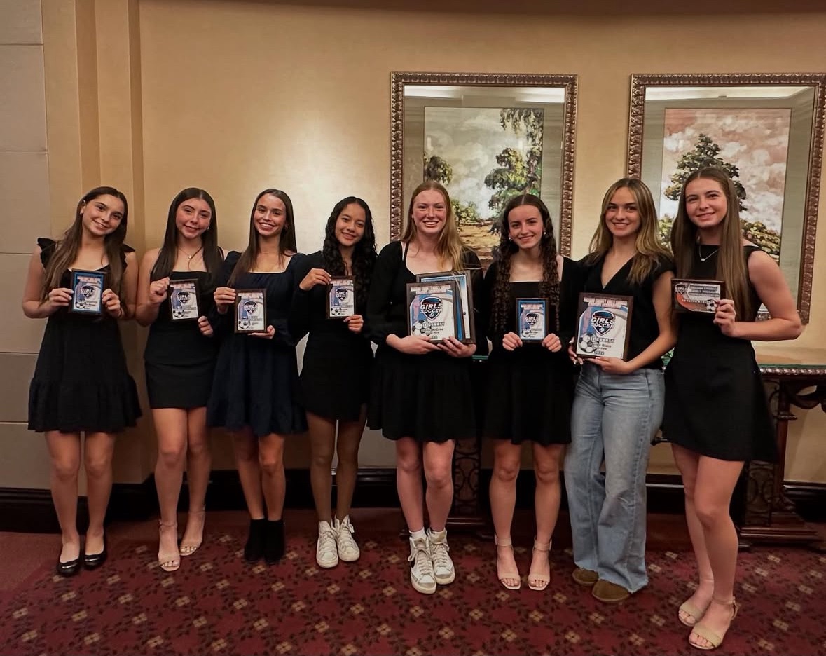 So honored to have been awarded All County, Conference Goalkeeper of the Year, and the Howard Gould Award for the best goalkeeper in Nassau County for my junior high school season! #goalkeeper #classof2026 #girlsacademyleague