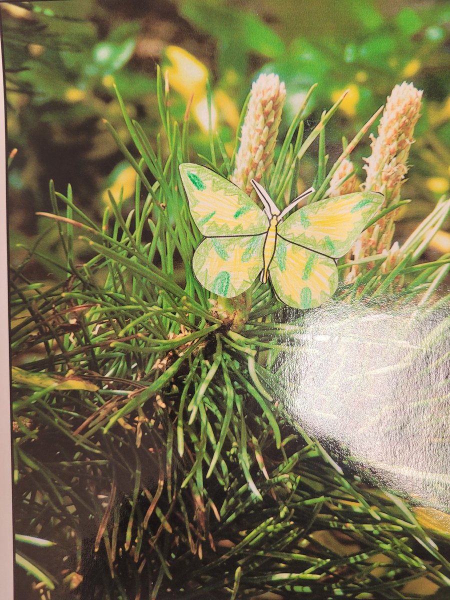 Angela Smith (@mrssmithstemlab) on Twitter photo Our <a href="/PickettsMillES/">Pickett's Mill ES π΄ββ οΈβοΈβ οΈπ¦</a> 3rd graders kicked off adaptations with camouflage! <a href="/STEMcobb/">Cobb County STEM/STEAM & Innovation Department</a> Our <a href="/PickettsMillES/">Pickett's Mill ES π΄ββ οΈβοΈβ οΈπ¦</a> 3rd graders kicked off adaptations with camouflage! <a href="/STEMcobb/">Cobb County STEM/STEAM & Innovation Department</a>