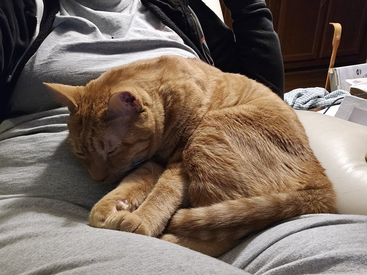 He's being such a baby lately! ❤️❤️❤️❤️❤️
Mango