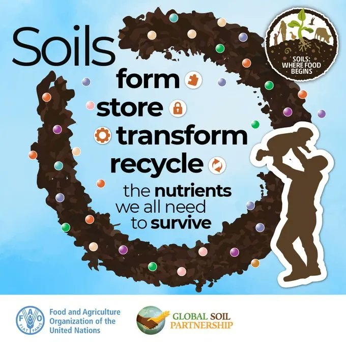 UN Biodiversity tweet media