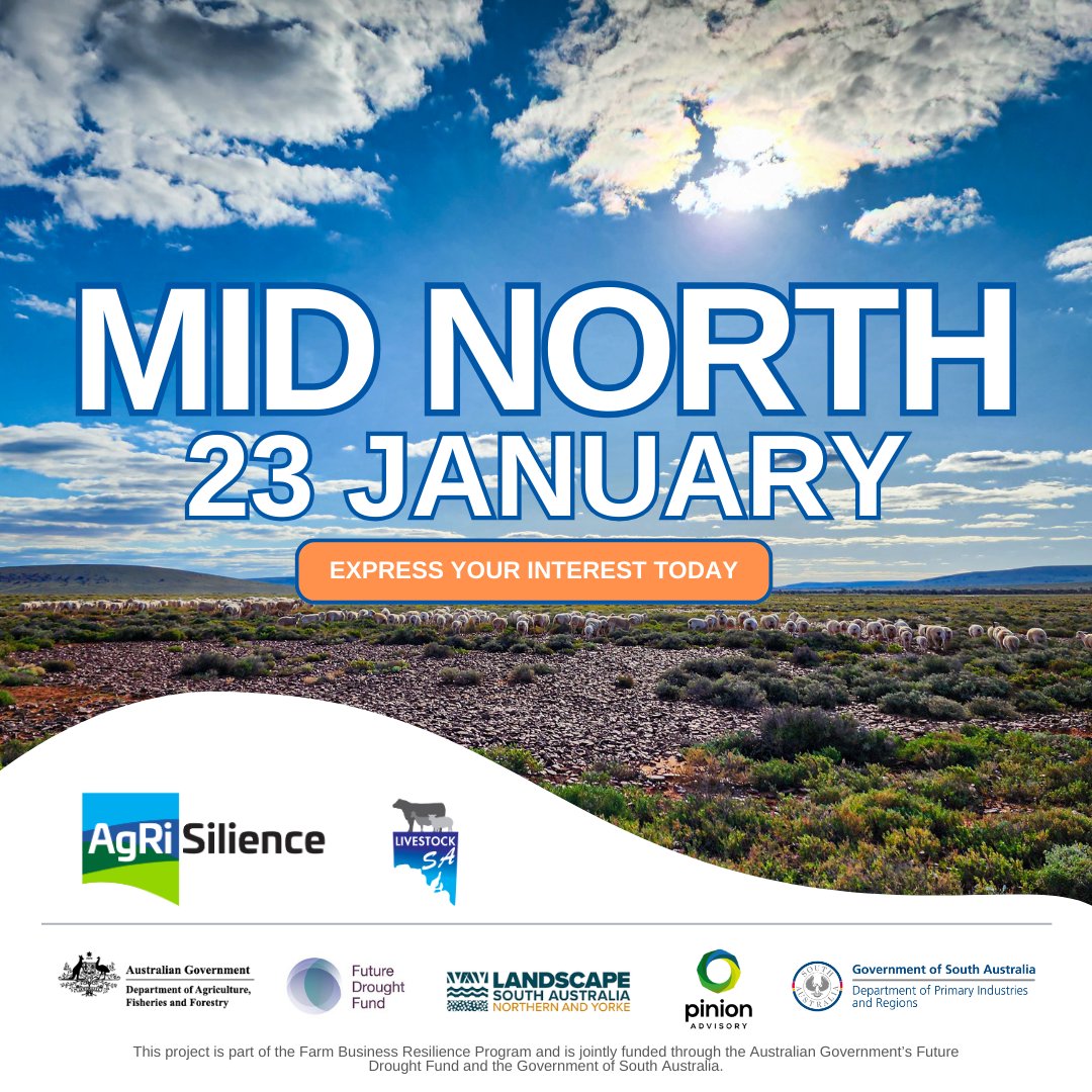 Thinking about joining the Mid North AgRi-Silience Group?

Pinion Advisory will be facilitating a group in the region on 23 January 2024. By participating, you will receive:

Comprehensive Workshops: Engage in a three-day, guided peer-to-peer workshop experience.
Personalised