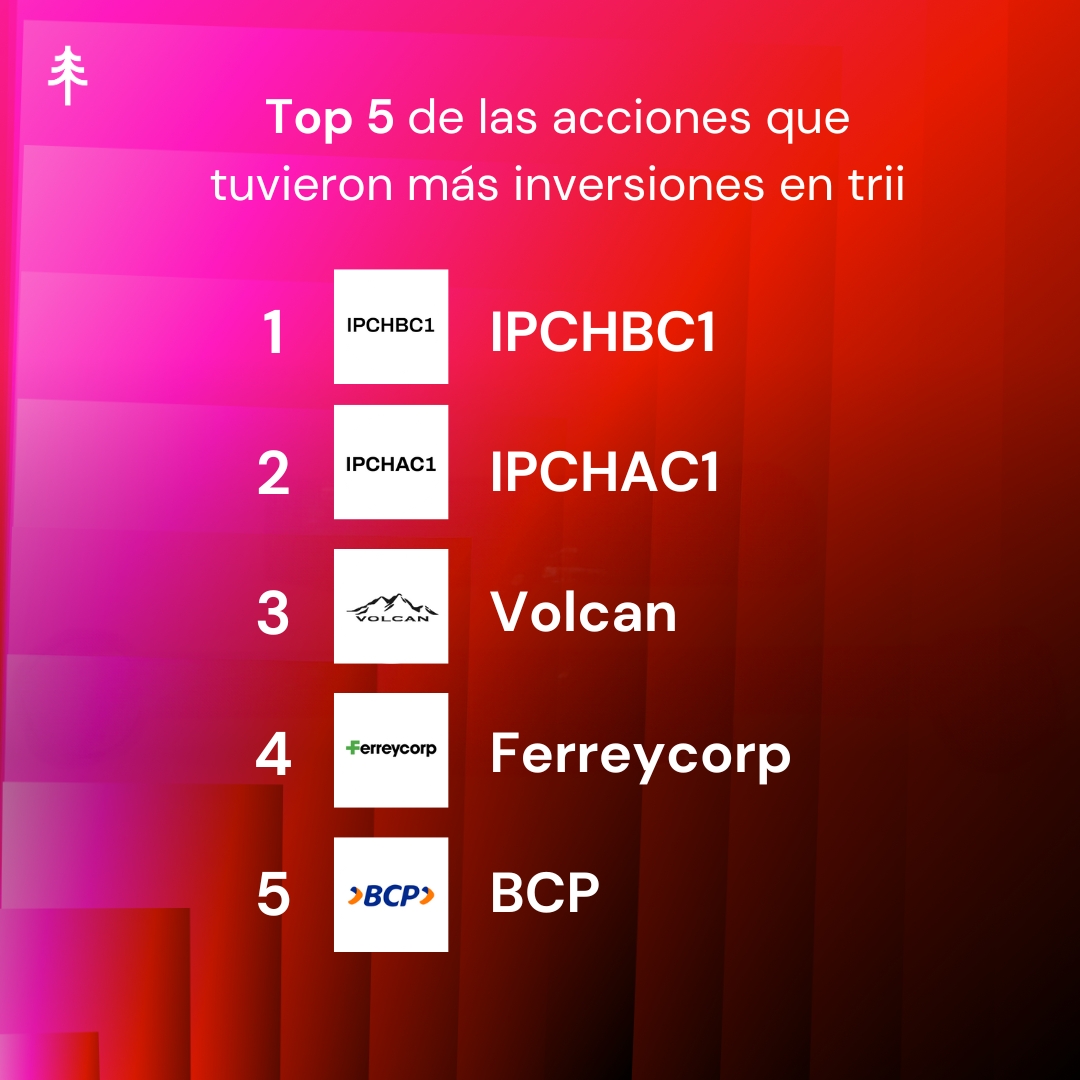 🇨🇴🇵🇪🇨🇱
#Wrapped2024 Conoce el top de acciones que más invirtieron los triiers en lo que va este 2024.
¿Haces parte de este top?