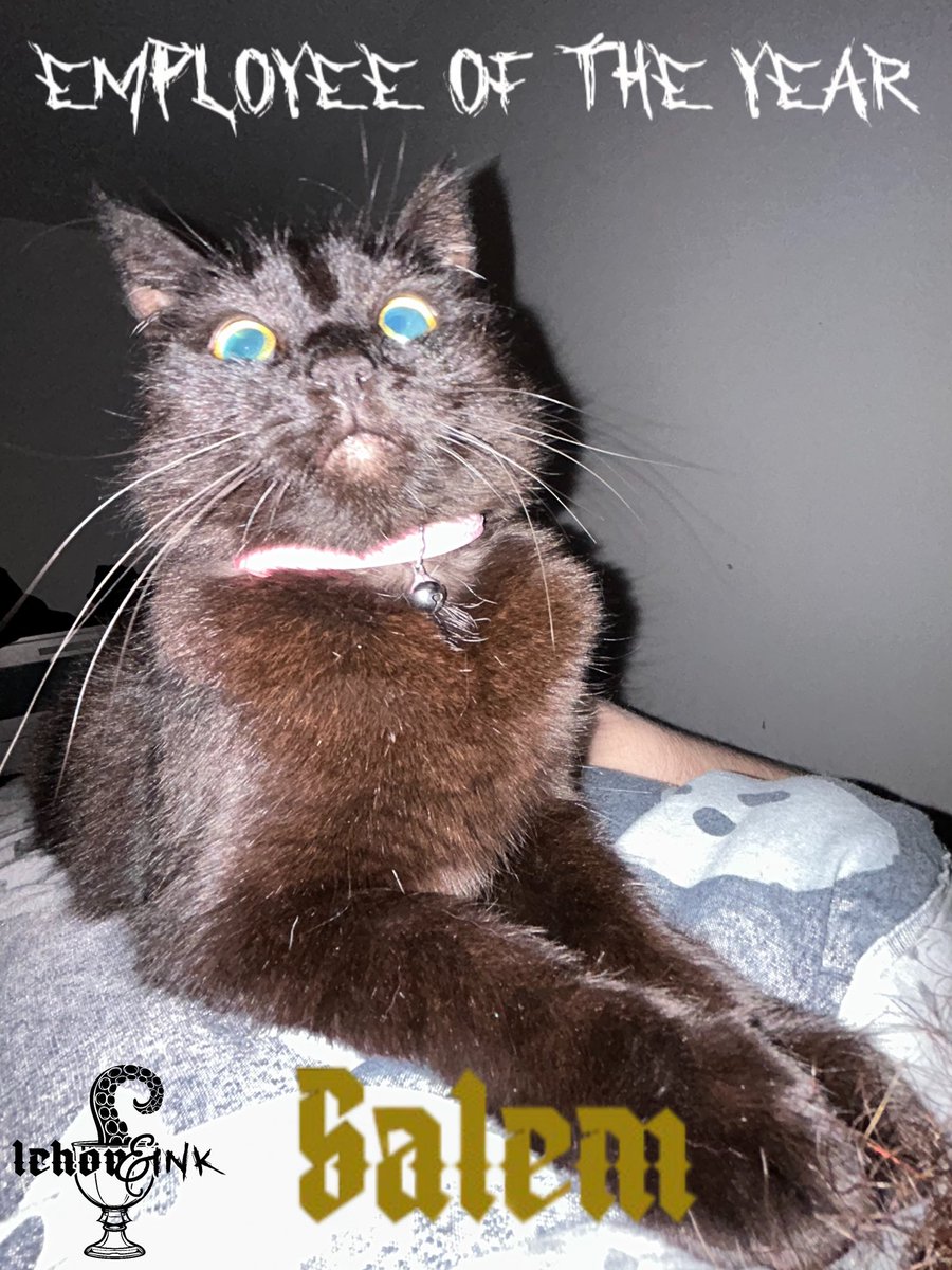 It was a hard choice but this year the award for Employee of the Year goes to Salem! Show her some love folks! She works long hours, rarely takes a break except for the occasional cat naps and always lets her opinion known to the team!