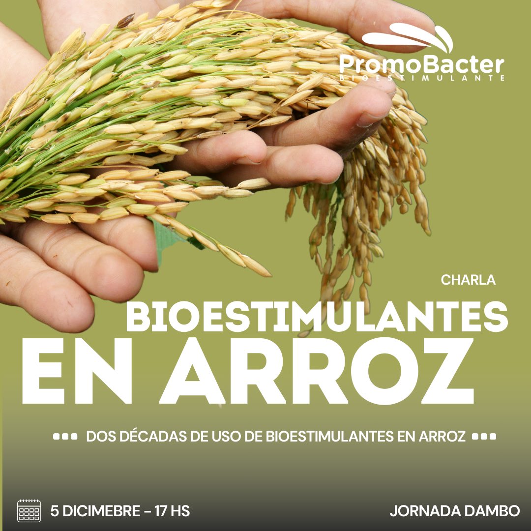 promobacter's tweet photo. Jornadas Dambo 🌾 
Bioestimulación e Insumos Biológicos para la Agricultura

📌 ¿Qué pasa con el arroz?

🗓 Jueves 5/12 
🕔 17:00 Hrs 
📍 Rivera

🔬 Promobacter participa compartiendo sus avances y experiencias en el uso de bioestimulantes para mejorar el rendimiento del arroz. https://t.co/wIrhp1ER5L