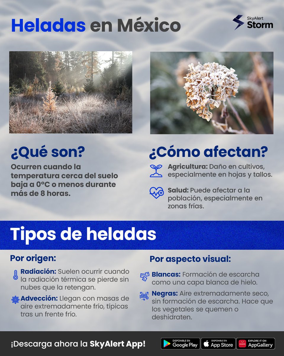 SkyAlertStorm's tweet image. 🌬️ ¿Sabes qué son las #heladas y cómo pueden afectarte? ❄️ Entender este fenómeno climático es clave para minimizar su impacto. Aquí te contamos todo lo que necesitas saber.

Descarga la #SkyAlertApp 📲 y recibe alertas sobre eventos meteorológicos. 👇
skyalert.mx/app…