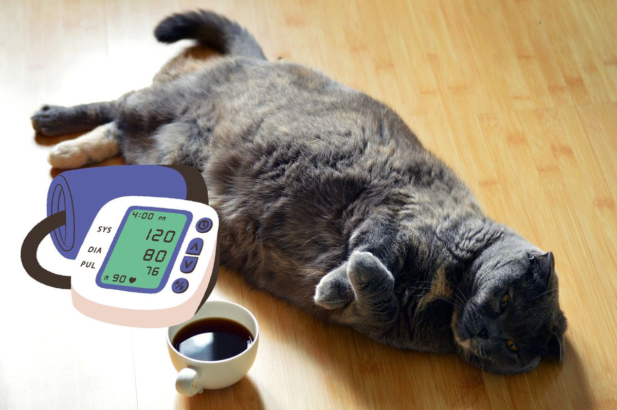 Interesting digital health advancements happening in #veterinarycare like using remote patient monitoring to help an obese cat lose weight from 37 lbs to &lt;18 lbs and other pet chronic illnesses #telehealth #telemedicine #telemetry buff.ly/3BgSAUL