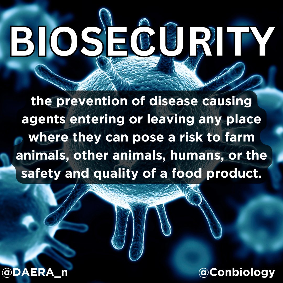 ConBiology's tweet photo. ๐ฆ It's the time of year when it's extra important to wash your hands and learn about your #WordoftheWeek: ๐ท#BIOSECURITY๐ท
#conservation #science #STEM #STEMwords https://t.co/LNFvZW4fKY