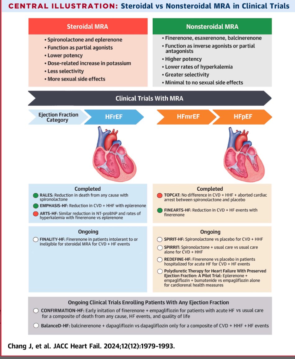 Mineralocorticoid Antagonism in Heart Failure: Established and Emerging Therapeutic Role

Nonsteroidal MRAs show promise for HF due to superior specificity, potency, and tolerability

jacc.org/doi/abs/10.101…