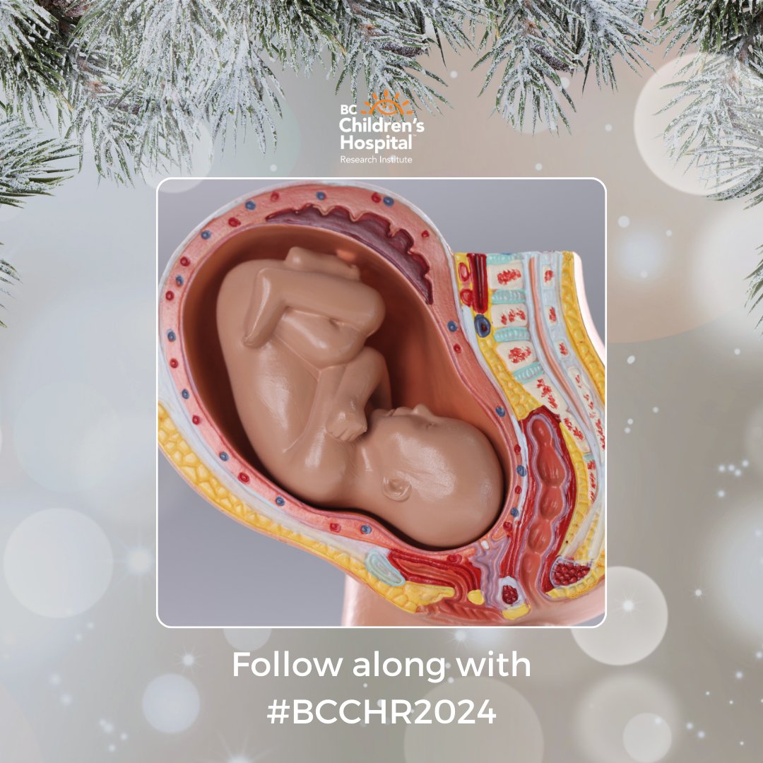 The placenta is essential to a fetus’ development, but little is known about how it develops and interacts with the uterus. Dr. Alexander Beristain is using an artificial model of the placenta to better understand its role in pregnancy. More: bcchr.info/3PWJ3GE
#BCCHR2024