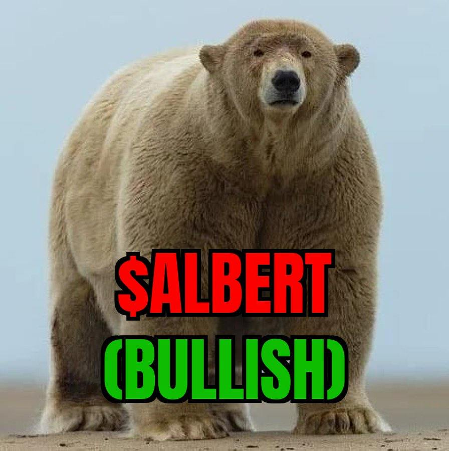 Albert on Sol tweet media