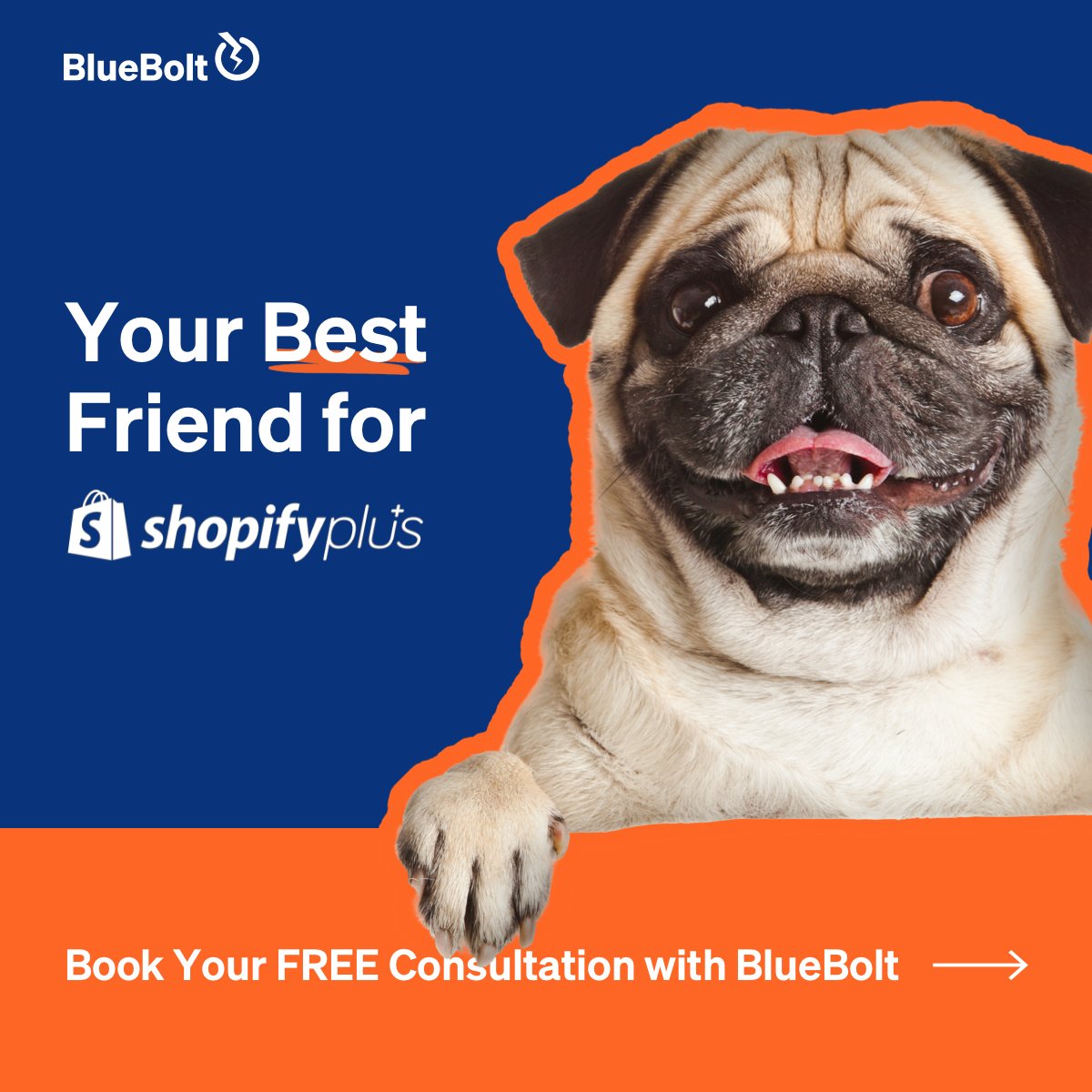 Discover the Benefits of Shopify Plus for Enterprises 

Ecommerce is constantly evolving, and to keep up, businesses need to be scalable, flexible, and efficient. That’s where <a href="/Shopify/">Shopify</a> Plus comes in—it's the perfect platform for enterprise-level ecommerce. 🚀
#BusinessSuccess