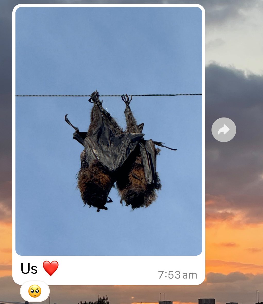 Teja Godson tweet media