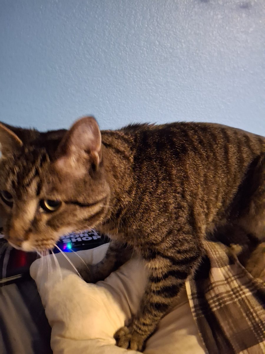 @furthermoore.bsky.social tweet media