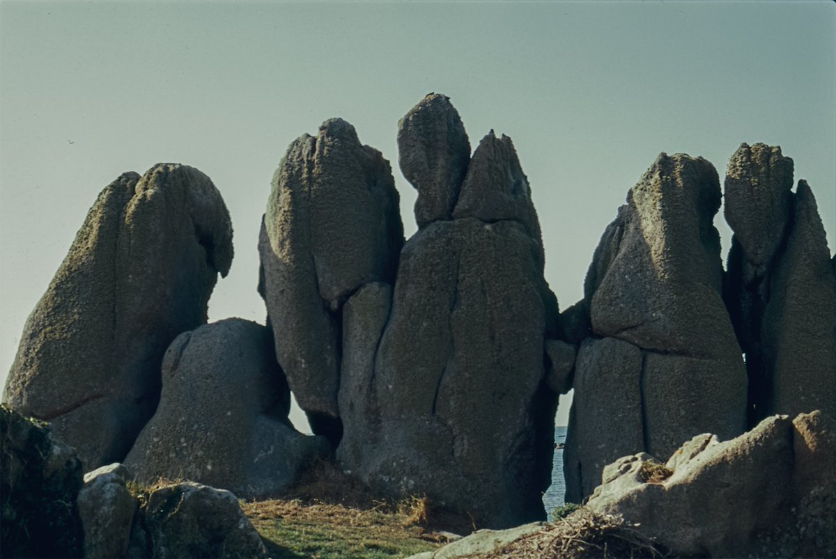 Gandalf_the_black tweet media