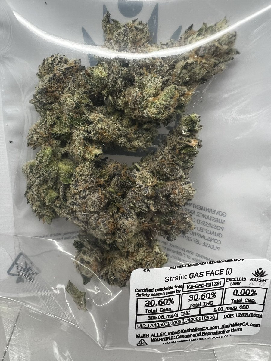 Kush Alley (@kush_alley) on Twitter photo 🚨New from Kush Alley Cultivation🚨
𝕲𝖆𝖘 𝕱𝖆𝖈𝖊
From <a href="/SeedJunkyHQ/">Seed Junky</a>
This heavy hitting Indica is sure to deliver a sedative high accompanied by a mouthful of dense gassy smoke 😮💨
Kushalleyca.com to get yours! 🚨New from Kush Alley Cultivation🚨
𝕲𝖆𝖘 𝕱𝖆𝖈𝖊
From <a href="/SeedJunkyHQ/">Seed Junky</a>
This heavy hitting Indica is sure to deliver a sedative high accompanied by a mouthful of dense gassy smoke 😮💨
Kushalleyca.com to get yours!