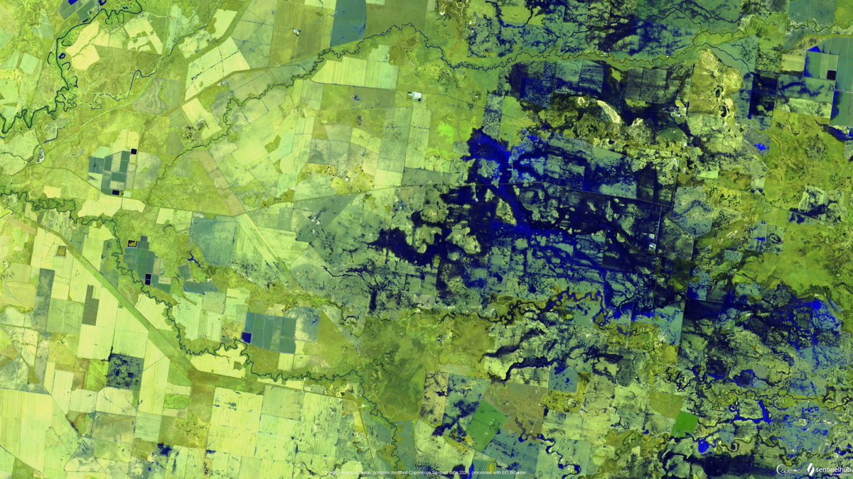 🛰Satellite imagery has shown significant rainfall between Walgett and Mungindi in recent days.

Water users in the Barwon Darling and West areas must have a licence and compliant metering equipment to capture water moving across a floodplain.

More here: bit.ly/3VmAt6J