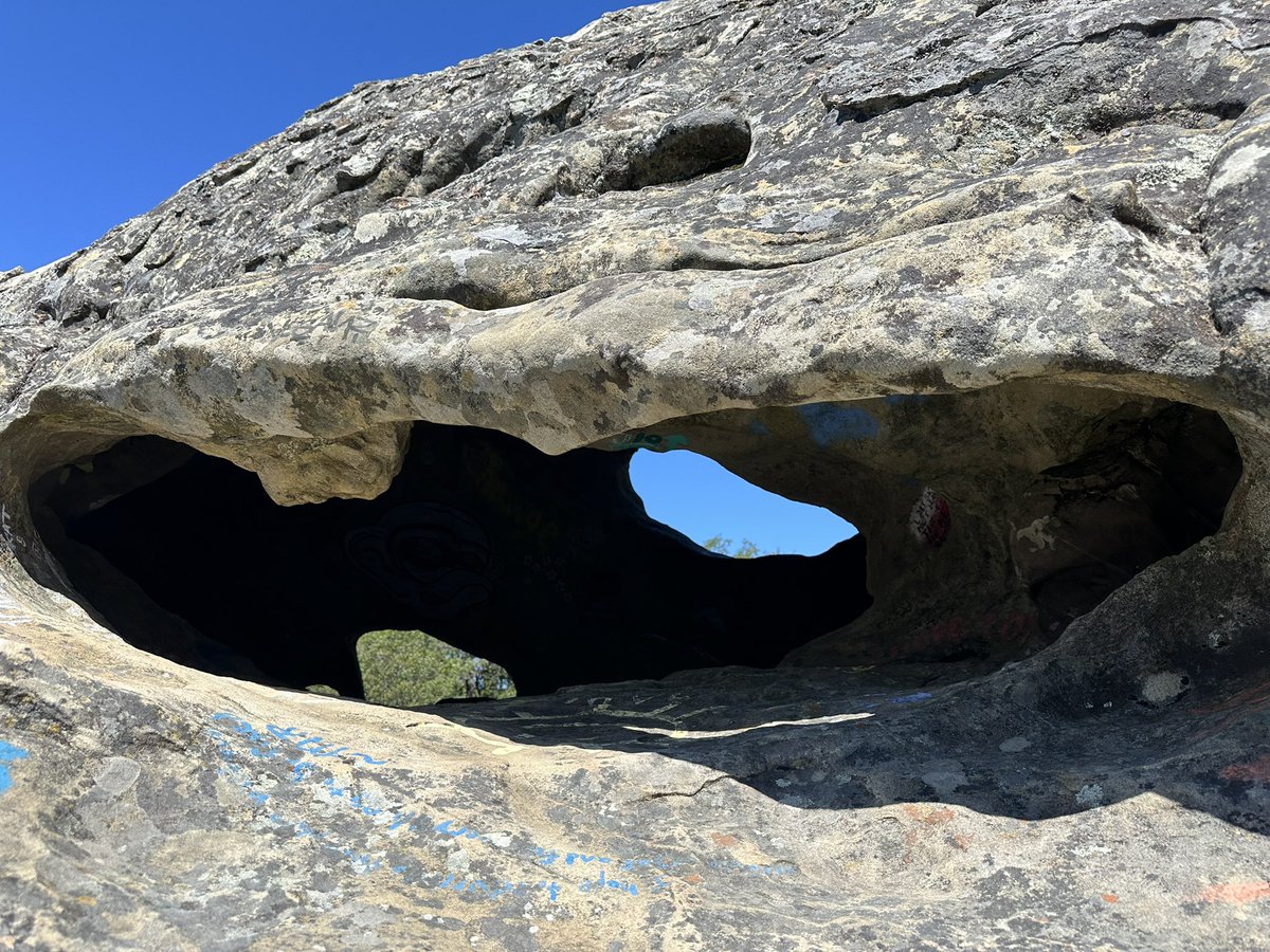 SeanCasserly's tweet image. Goat Rock, Castle Rock State Park
Swiss Cheese 5.4 free solo 
#summitswagger #peakbagger