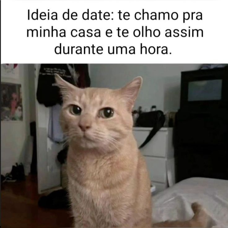 mavie⚢ (@freenstar) on Twitter photo 