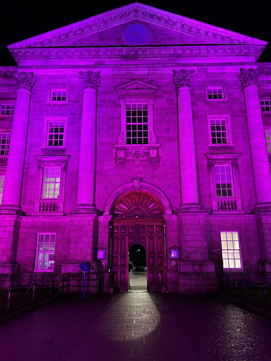 Seána Glennon (@seana_g) on Twitter photo A fantastic <a href="/IrishJurisSoc/">Irish Jurisprudence Society</a> workshop today <a href="/tcddublin/">Trinity College Dublin</a>. <a href="/vanessa_macd/">Vanessa MacDonnell</a> & I presented our paper, ‘The Public Law Dimensions of Novel Citizen Innovations’. Thank you @hogan_hilary & Conor Crummey for inviting us & <a href="/dkennytcd/">David Kenny</a> for doing a wonderful job as discussant! A fantastic <a href="/IrishJurisSoc/">Irish Jurisprudence Society</a> workshop today <a href="/tcddublin/">Trinity College Dublin</a>. <a href="/vanessa_macd/">Vanessa MacDonnell</a> & I presented our paper, ‘The Public Law Dimensions of Novel Citizen Innovations’. Thank you @hogan_hilary & Conor Crummey for inviting us & <a href="/dkennytcd/">David Kenny</a> for doing a wonderful job as discussant!