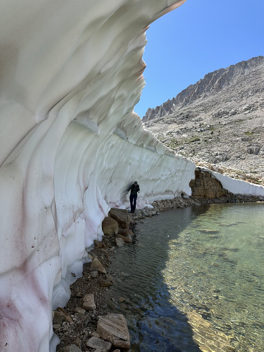 SeanCasserly's tweet image. Mt Gabb (13,741 ft)
Mosquito Flat -&amp;gt; Cox Col -&amp;gt; Italy Pass -&amp;gt; Pine Creek
#summitswagger #peakbagger