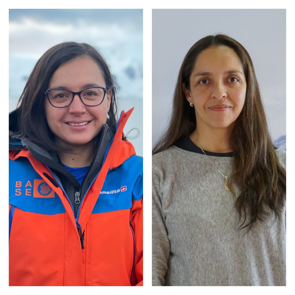 🇦🇶📌Pto. Williams y Valdivia🥳Dra. Tamara Contador <a href="/udemagallanes/">Universidad de Magallanes</a> <a href="/centrochic/">Centro Internacional Cabo de Hornos (CHIC)</a> <a href="/invasalCL/">INVASAL</a> y Dra. Andrea Piñones <a href="/UAustraldeChile/">Universidad Austral de Chile</a> <a href="/CentroIDEAL_CL/">Centro IDEAL</a> <a href="/COPASCoastal/">COPAS Coastal</a> adjudicaron XXIX Concurso Nacional de Proyectos Investigación Antártica <a href="/inach_gob/">INACH</a>👏Felicitaciones desde <a href="/MilenioBASE/">Instituto Milenio BASE</a>!