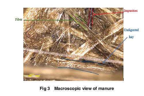ASMEJournals's tweet photo. This paper investigates the experimental and mathematical modeling of thermochemical conversion for horse manure. https://t.co/PLTzVhx9sM
#renewableenergy #altenergy https://t.co/Fc5tEvpSR6