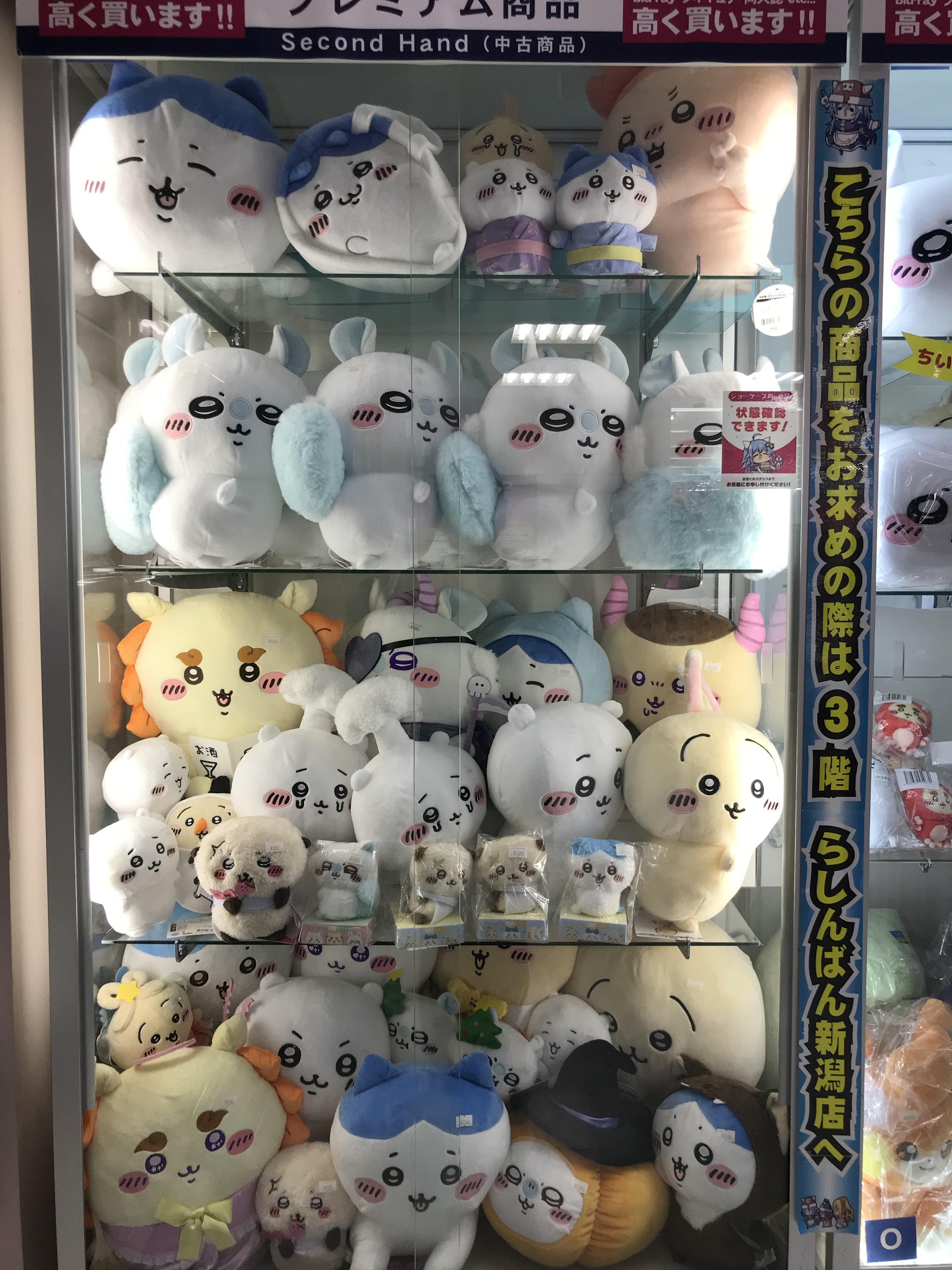 らしんばん新潟店＠中古買取販売【平日10時～20時/土日・祝10時～19時