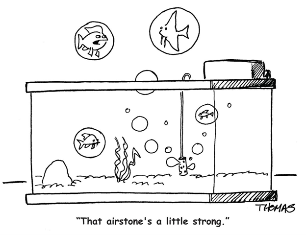 TFHmagazine's tweet photo. PSA: Always put a lid on your aquarium. 😉
#TropicalFishHobbyist #cartoon #fishhumor https://t.co/ayihkWCQlA