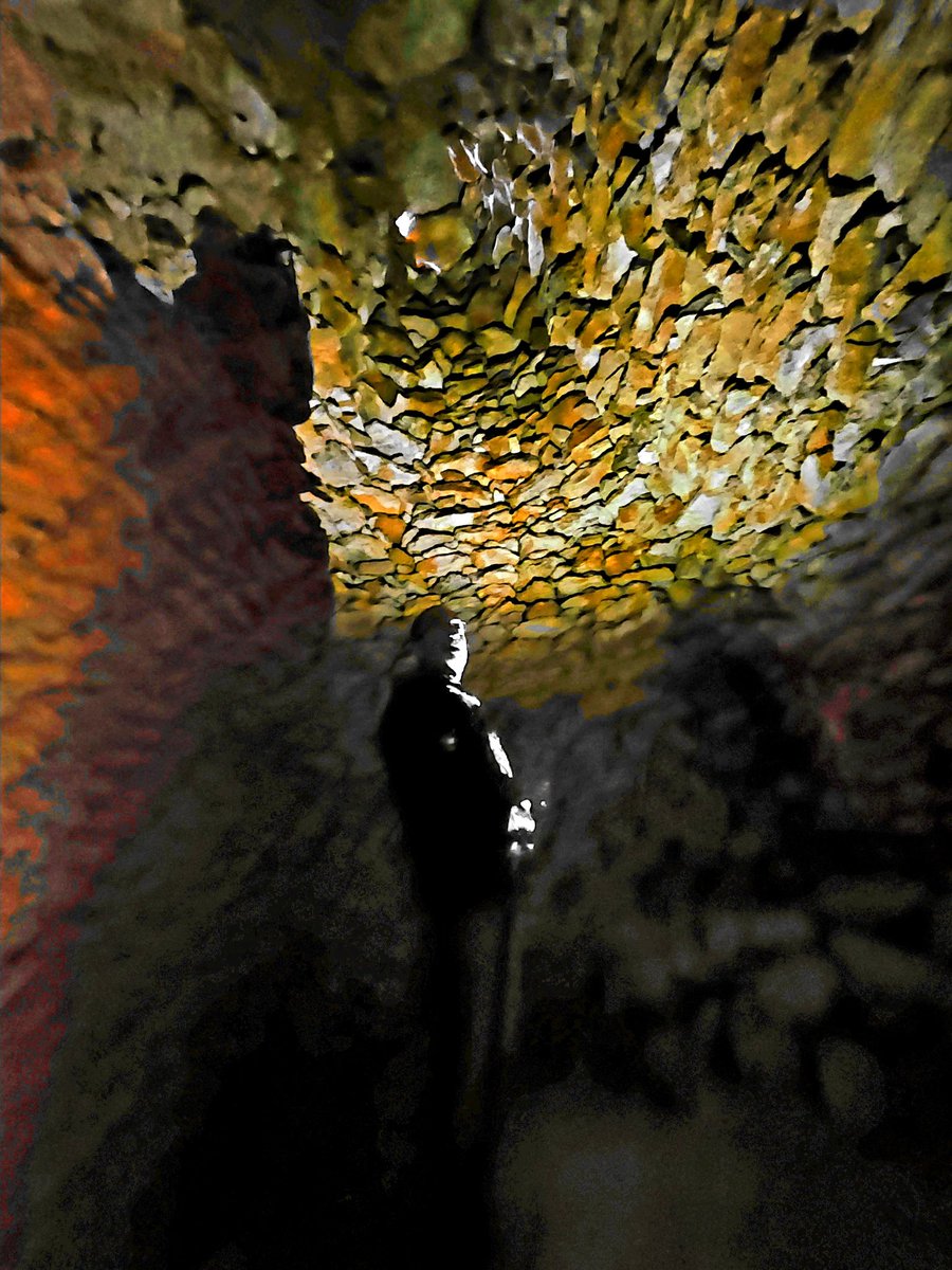 (1/2) Vaig endinsar-me en l'obscuritat i solitud d'aquella enorme construcció de pedra seca.
Era la grandiosa estança interior que molts anys enrere allotjava el "matxo".
#pedraseca #patrimonirural #baixpenedes #santaoliva