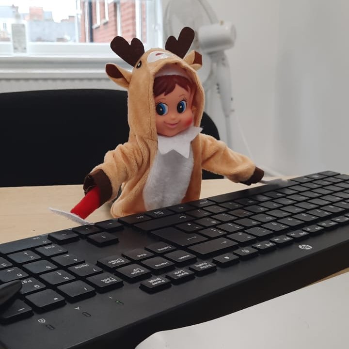 Dear Albert tweet media