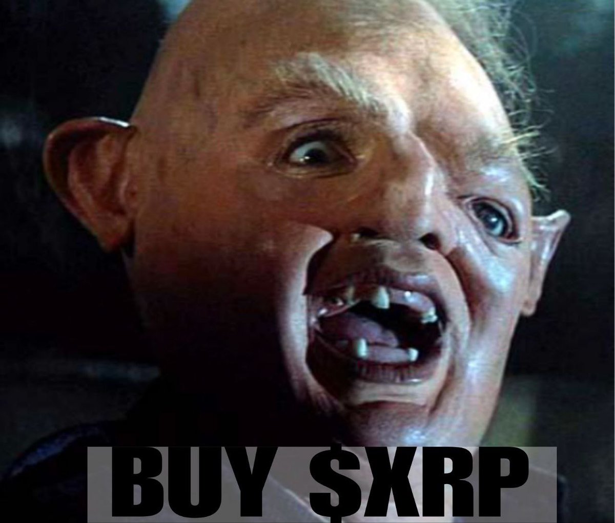 shillaryswank's tweet photo. @HalieyWelchX @solana This isn’t the right retarded coin bros 

9RCKRwtTLcAx3S7tDAsXY7hq51b6PNSTG7mxHi42pump

@ https://t.co/hxJK6LFYar https://t.co/IKd6gATnqT