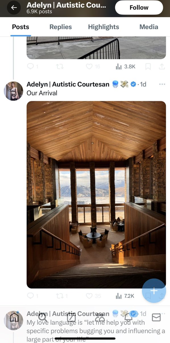 Dragonflyd73's tweet photo. @chicagosunrise_ @AdelynMooreNY Mentally unwell and shameless. Almost all of her pictures of stolen from real people or hotel websites @parody_escort https://t.co/fKvhL8Gaot