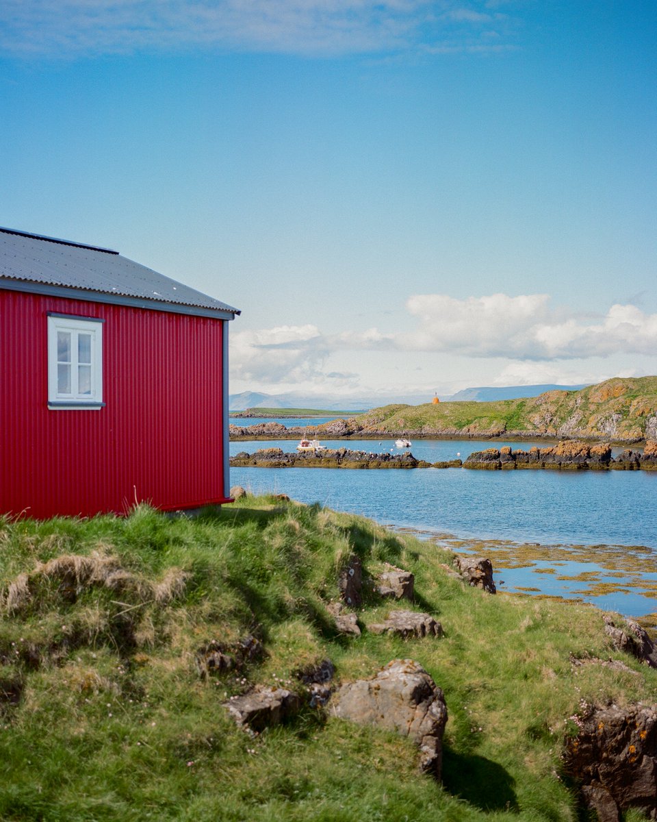 kristopher tweet media