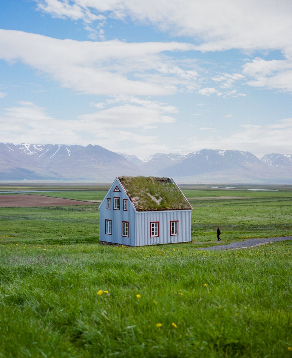 kristopher tweet media