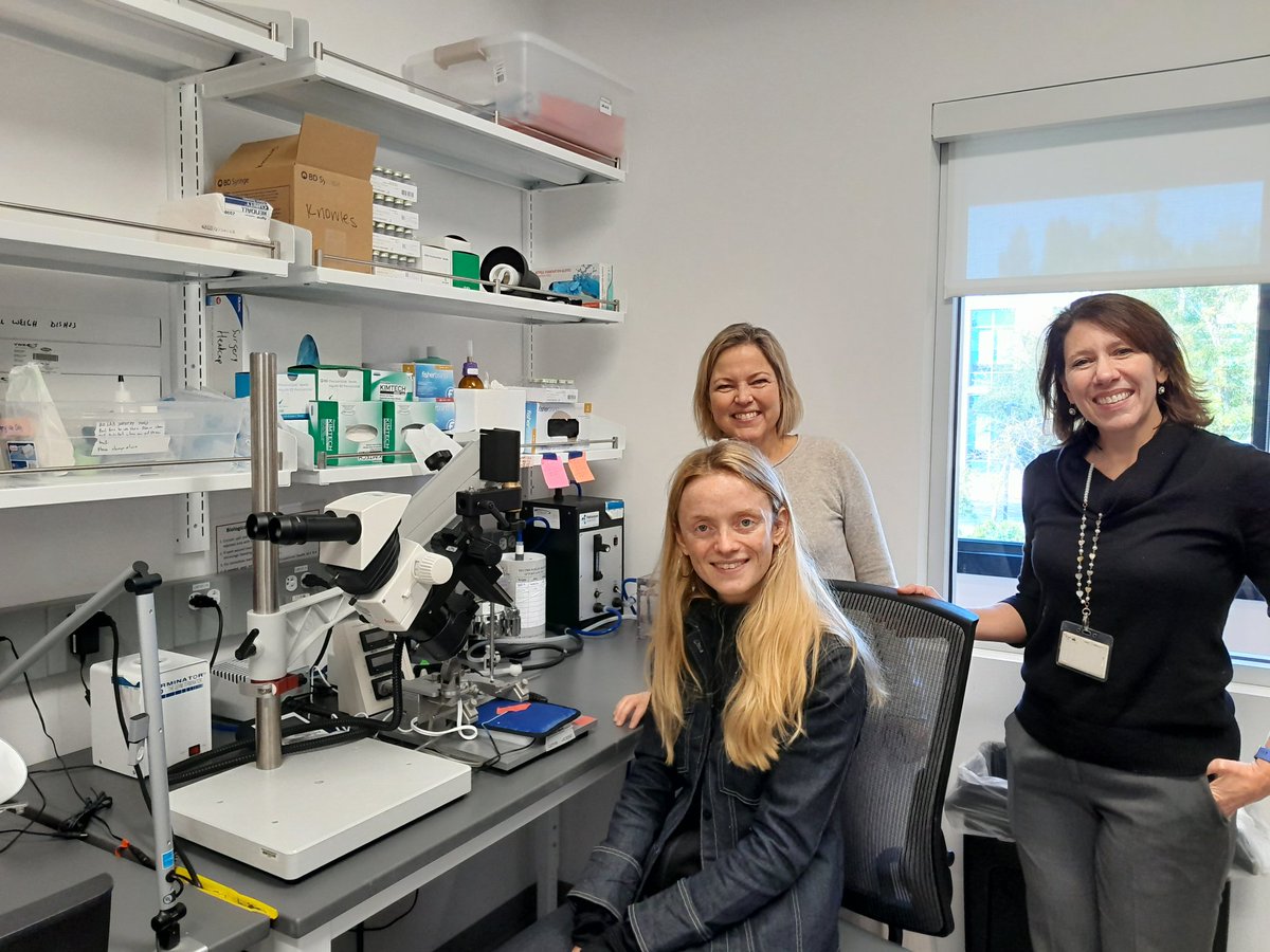 FiladelfiaGene1's tweet photo. Wonderful visit at @Stanford University 🤩
Thanks to Cordelia Smidth and @julietkknowles for showing us the impressive Knowles Lab, and the beautiful campus 🤩
#GABRB3 #Epilepsy 🧠 #Genetics 🧬 #PreclinicalModels 🐭 https://t.co/Jg6o23UhLH