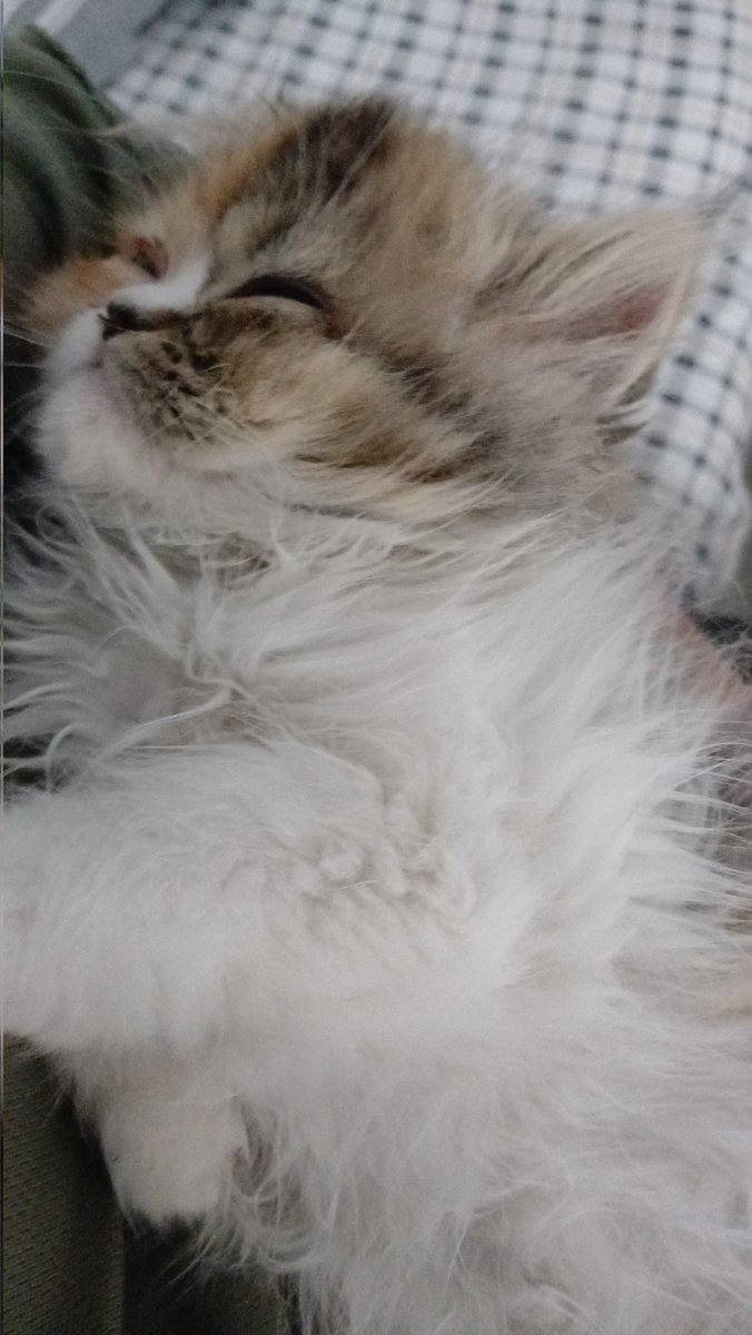 Lo más hermoso de papa 😍