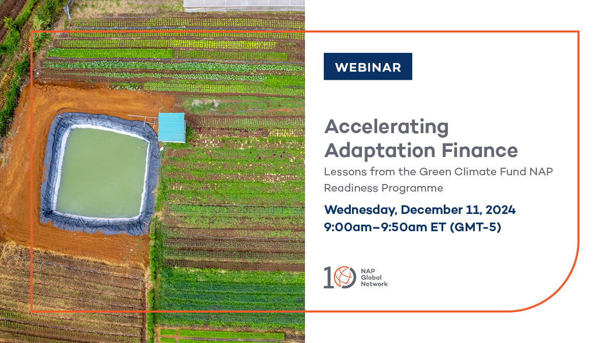 NAP Global Network tweet media