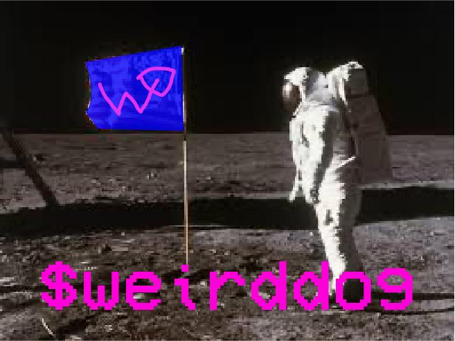 Weird_dog1's tweet photo. 1% of $weirddog goes to charity voted on by YOU. Support our waning mental health, or fund the first space pony—it’s up to the community. 🐕🌍
Ready to get weirddog? Your wallet deserves some personality. 🌈🚀
#weirddog #memecoin #MemeCoinSeason #Solana https://t.co/91eOTm91uI
