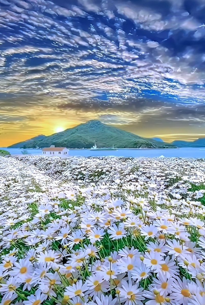 Collection_04's tweet photo. Seek God in your heart. When you find it, you will have access to all the beauties. #God #Allah #Dios #Gott #Бог #Dio #Dieu #上帝 #神 #परमेश्वर #Gud #Zoti #Божа #Déu #Jumal https://t.co/OWIgaXdqBG